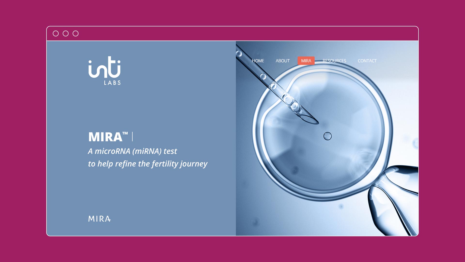 Inti Labs | Portfolio